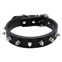Studded Leather Collar (Medium)