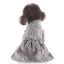 Pet Lace Dress Grey Small