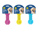Kingdom Spikey Squeaky Dog Toy