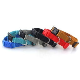Coloured Adjustable Collar (Large)