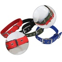 Padded Dog Collar Extra Extra Small 1.5
