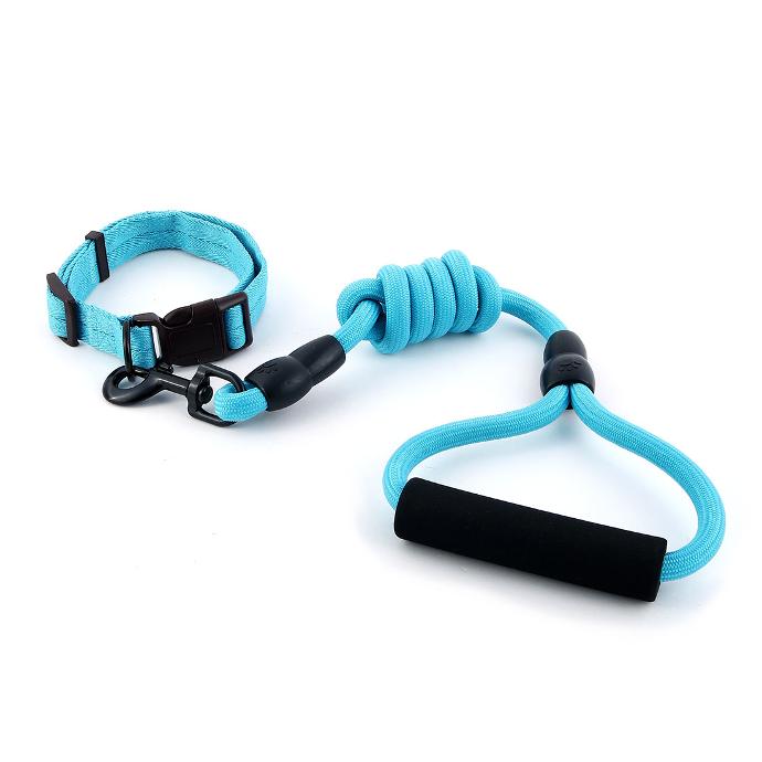 Pawxie Collar and Leash with Foam Handle