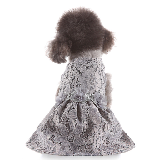 Pet Lace Dress Grey Medium
