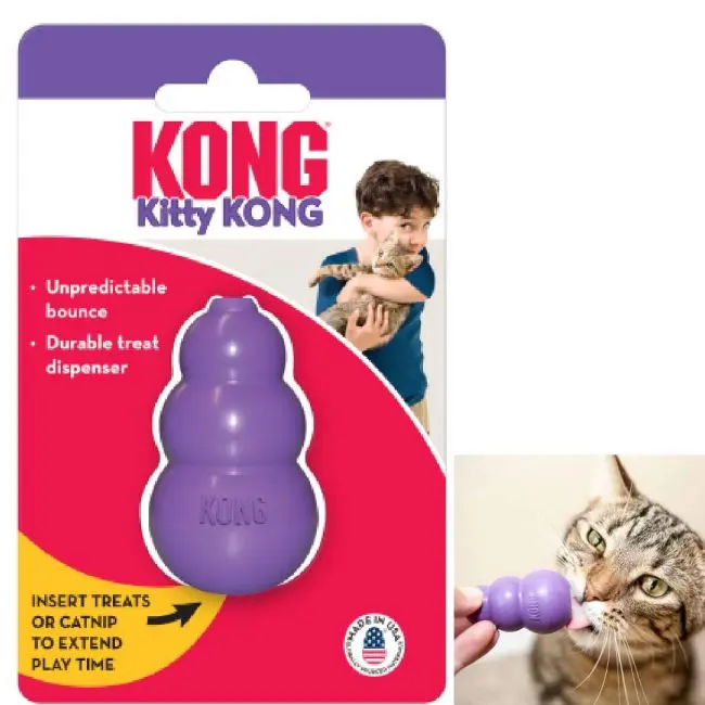Kong Kitty Kong