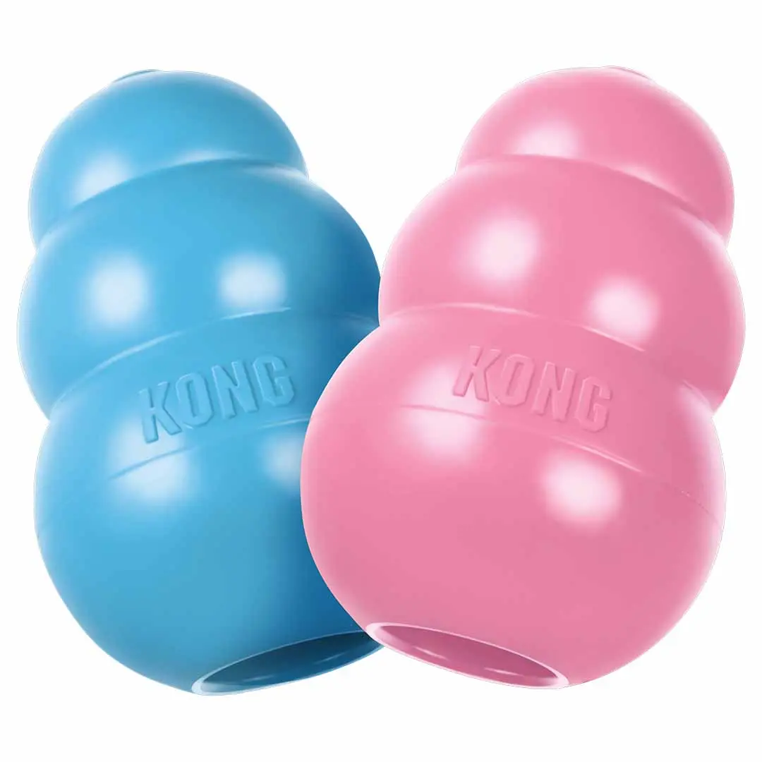 Kong Puppy Toy